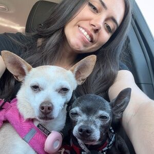 Meet your Posher, Amber